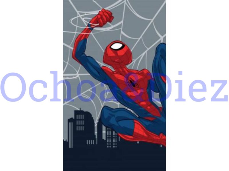 Spider-man blanket