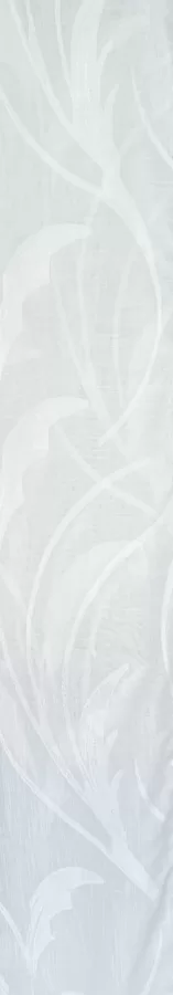 6 white